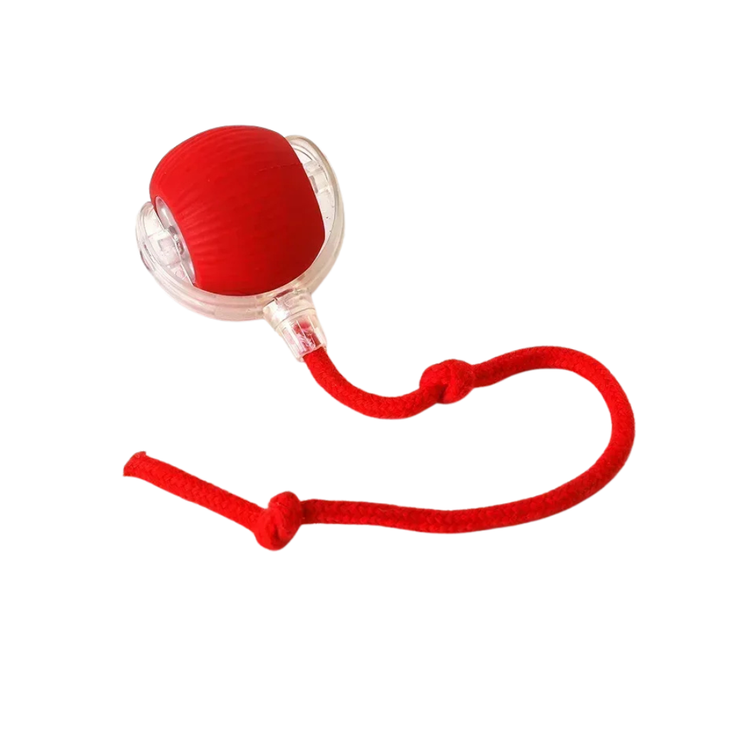 Smart Interaktiv Leksaksboll – Aktiv lek för hundar & katter